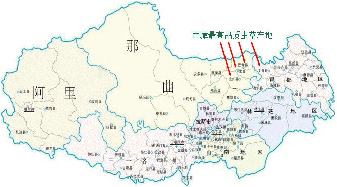 ��õĶ��x�Ĳ�,��õĶ��x�ĲݵĮa(ch��n)��,Ʒ�|(zh��)��Ѷ��x�ĲݵĮa(ch��n)��,Ʒ�|(zh��)��ö��x�ĲݵĮa(ch��n)��,���ض��x�Ĳݵ���Ѯa(ch��n)��