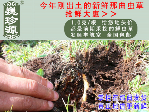 ���r���x�Ĳ����^�����r�x����Ρ��Դ1��/�����r�������x�Ĳ��^���������ڳ������^���������r�x��