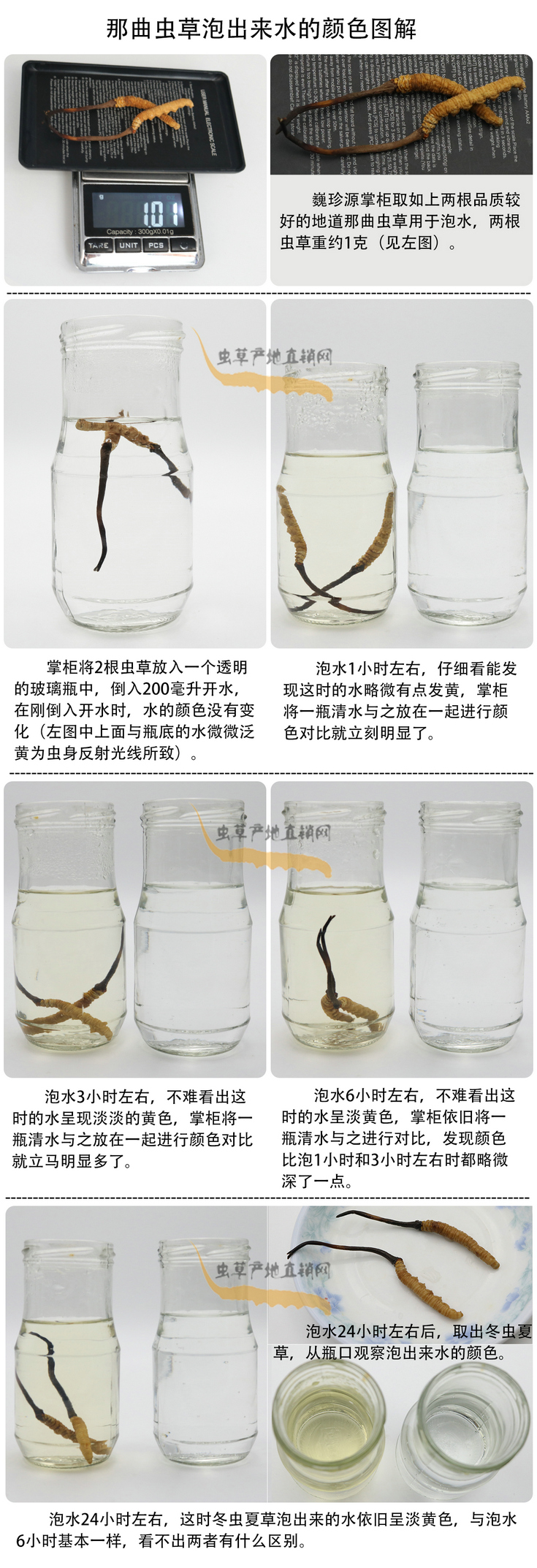 ���x�Ĳ��ݳ���ˮ���ɫ�����x�Ĳ��ݳ�����ˮ��ʲô�ɫ�����x�Ĳ���ˮ���ɫ��׃�����������x�����^ˮ��ˮ׃��ʲô�ɫ