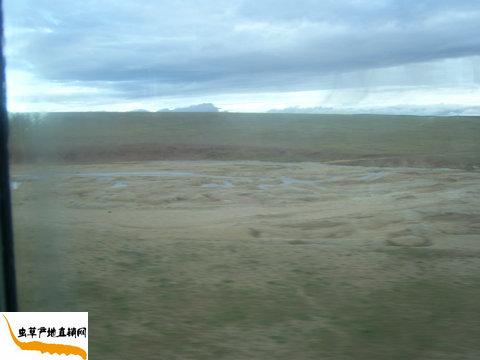 �ɿ�����,��ظ�ԭ,�x(ch��ng)�ݮa(ch��n)��ֱ�N(xi��o)�W(w��ng)