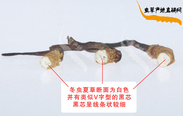 ��ζ��x�Ĳ�����b�e����,������ٶ��x�Ĳݱ�e����,��ε���ٶ��x�Ĳݷֱ淽��